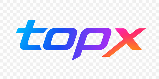 TopX Logo